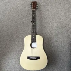 Item thumbnail for item 0a038b9d-1fa3-4427-b170-638ccdb26b14