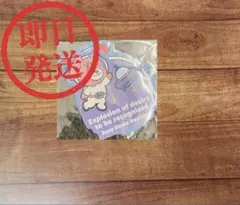 Item thumbnail for item fe1d3b5a-f39d-41e0-8005-27ba18674aee