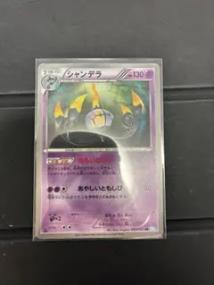 シャンデラ BW UR