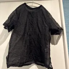 hunch シアー素材 半袖Tシャツ ブラック シャンドラローズで購入のサムネイル