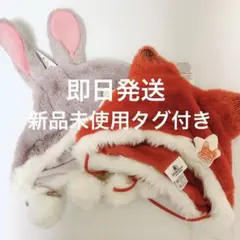 Item thumbnail for item bd720ab8-9a0f-44d0-8fad-30ae3a855132