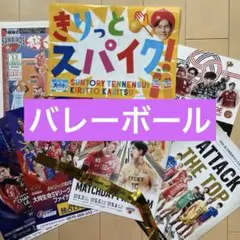 ワールドチャレンジ　バレー　サンバーズ　クリアファイル　SVリーグ　銀テ　髙橋藍