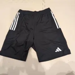 Item thumbnail for item 37cdb627-887c-4cf1-8a06-1bee629a49f5