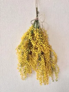 Item thumbnail for item e00592f8-783b-47ee-96e6-44c5f6c0d56c