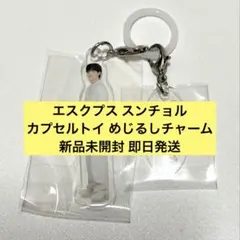 即日発送 エスクプス スンチョル SEVENTEEN めじるし カプセルトイ