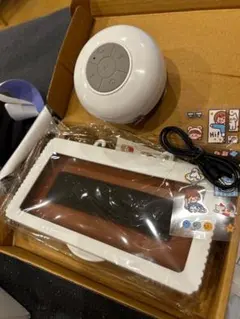 Item thumbnail for item 0f99abbb-b2e4-41bf-ae6b-ff93fa07f58d