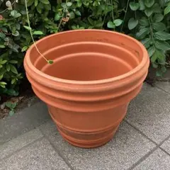 植木鉢　テラコッタ　素焼き　大鉢(口径外径38cm)　丸形　装飾ライン入りのサムネイル