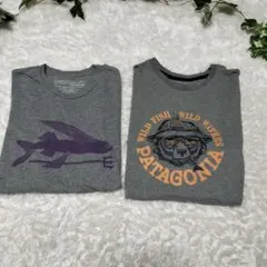 Patagonia グラフィック Tシャツ グレー　2枚セット　バラ売り不可