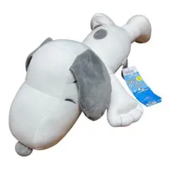 Item thumbnail for item eb09bdd4-0907-4276-9a73-ce9d5ce77dbb