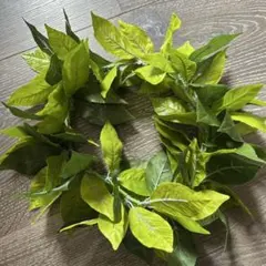 Item thumbnail for item 3009ef0b-5748-4d9e-b868-b54a4d7399fc