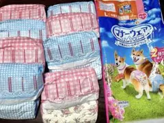 Item thumbnail for item fef5f36b-9fa3-458a-be47-79438e2a307d