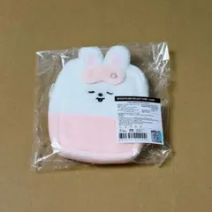 スキズ　コレクトケース　リービット　トレカあり　Leebit