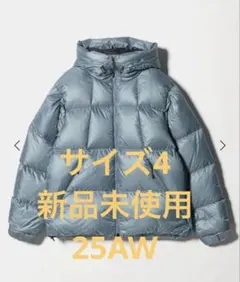 Item thumbnail for item 0a5a2f34-49d7-454c-b972-15cd7129bbf6