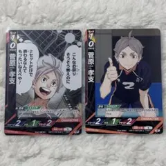 【匿名配送】ハイキュー バボカ 菅原孝支