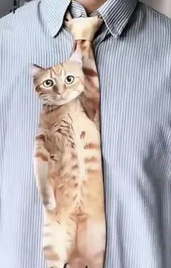 猫ネクタイ