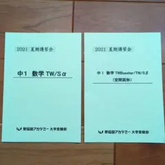 早稲アカ 大学受験部 中1 数学 TWクラス