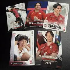 山内晶大 直筆サイン入りミニ色紙 2024 バレーボール男子日本代表