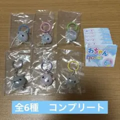 ぷくぷく　あわわちゃん　めじるしアクセサリー　コンプリート