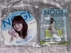 乃木坂46 田村真佑 mobile S賞 レイヤードアクリルスタンド - メルカリ