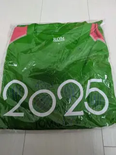 富里スイカロードレース2025 Tシャツ