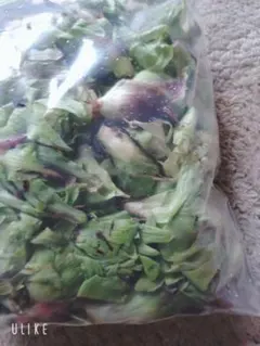 hanahana様専用になります。