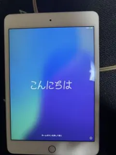 iPad mini5 SIMフリー256GBシルバー