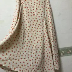 アーバンリサーチの春スカート