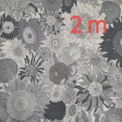 Item thumbnail for item 2d1a57b4-048c-4c48-b031-2c4f98c0bf91