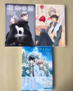 積木の恋 ショートケーキの苺にはさわらないで きみが好きだった 凪良ゆう