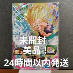 美品！abs-19　ゴテンクス　プレミアムバインダー　プレバン