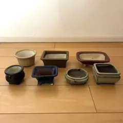 2026年最新】陶翠 盆栽鉢の人気アイテム - メルカリ