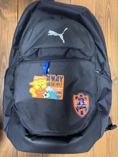 プーマ　エスパルス風 teamFINAL バックパック 45L