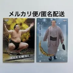 Item thumbnail for item 3650e45b-834e-4706-9aaf-3573b38ce64c