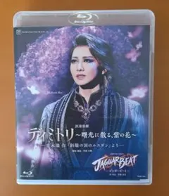 Item thumbnail for item c236c05a-2b99-4c89-aa81-a01cfd028c79