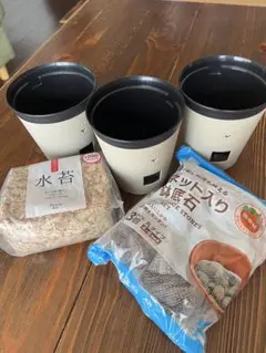 園芸用プラ鉢 3個 水苔 鉢底石 세트