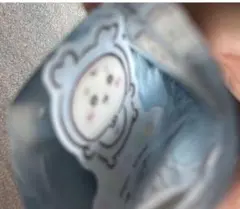 ちいかわBaby　ノベルティ　ぽんぽんチャーム付きフォンタブ　古本屋　カニちゃん