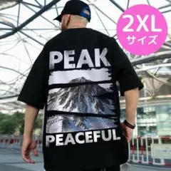 【人気】Tシャツ　2XL　黒　韓国　ヒップホップ　マウンテン　大きめ　体型カバー