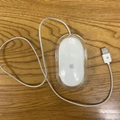 Apple Mouse 本体 M5769 有線マウス