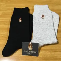 ハッシュパピーの紳士用ソックス2足