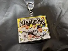 阪神タイガース優勝記念　シークレットアクリルキーホルダー中野　前川　佐藤　小野寺