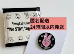 Stray Kids エキシビジョン　ピンバッチ　トゥエッキ　チャンビン