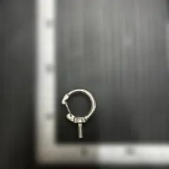 Item thumbnail for item 033aa113-40b2-4ff9-8247-9ae9c948ed14