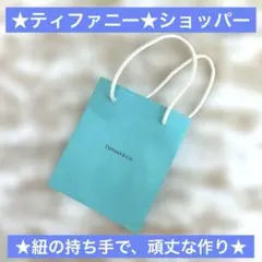 ★ティファニーショッパー(小)★