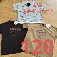 キッズ　トリケラトプス　恐竜　ティラノ