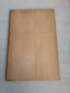 Item thumbnail for item 1b868311-9e88-4500-9ff2-35da46b0b324