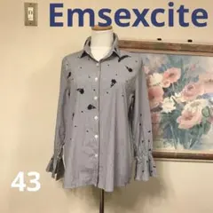 ストライプ刺繍フレア袖シャツ