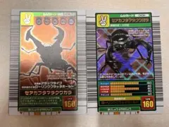 甲虫王者ムシキング セアカフタマタクワガタ 2003 AUTUMNエラーカード