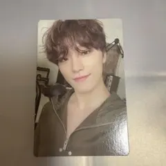 SEVENTEEN セブチ ディノ トレカ FML