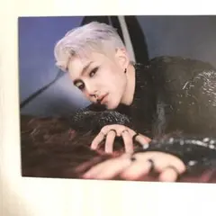 SEVENTEEN ホシ　スパイダートレカ