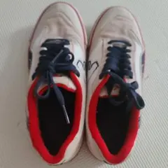 PUMA プーマ フットサルシューズ エヴォスピード サラ 28.0 廃盤 レア PUMA プーマ フットサルシューズ エヴォスピード サラ 28.0 廃盤